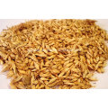 Natural High Quality Barley Malt Powder